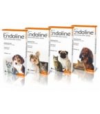 Endoline pour on cães & gatos 5ml