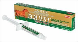 EQUEST 20GR - VERMIFUGO ORAL EQUINOS