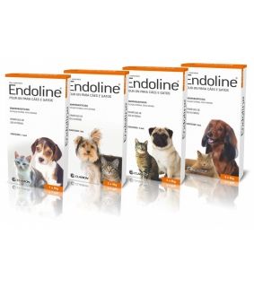 Endoline pour on cães & gatos